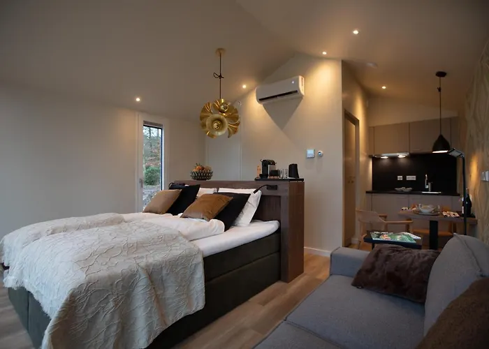 酒店 赫伯格小天鹅餐厅酒店 穆克