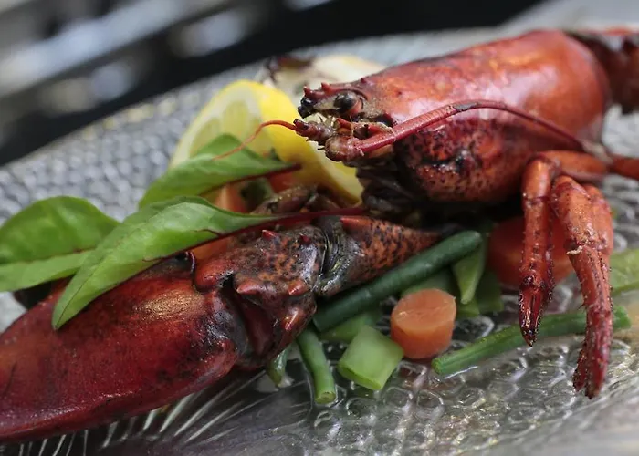 赫伯格小天鹅餐厅酒店 酒店 2*