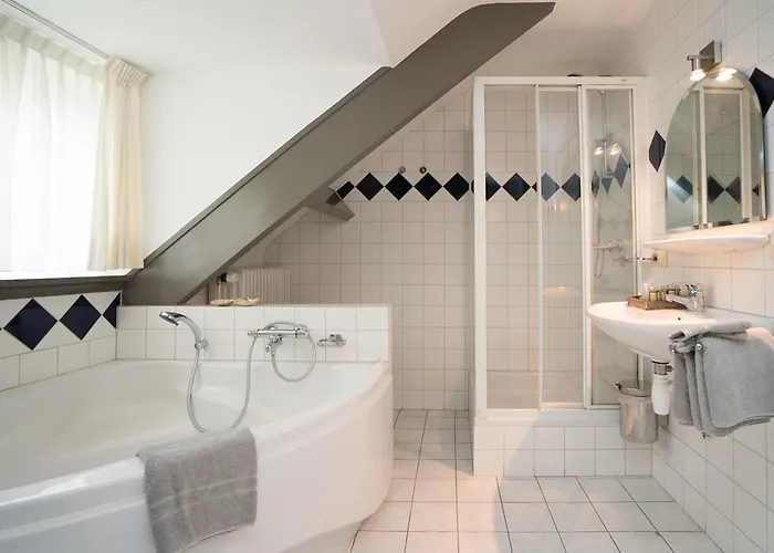 赫伯格小天鹅餐厅酒店 2*