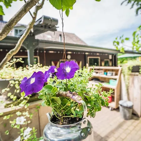 Restaurant 't Zwaantje 2* Mook